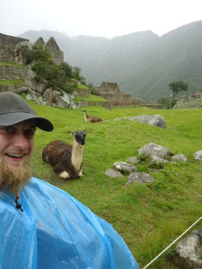 zvierata na machu picchu
